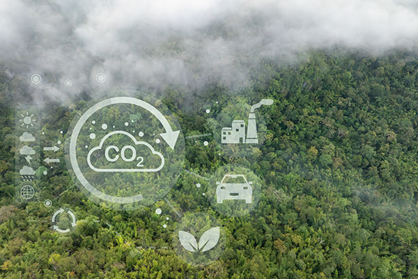 Carbonoffset