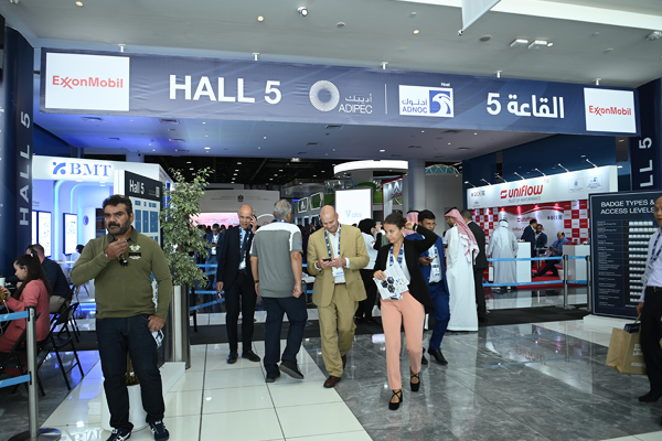 Entrance Hall Archway