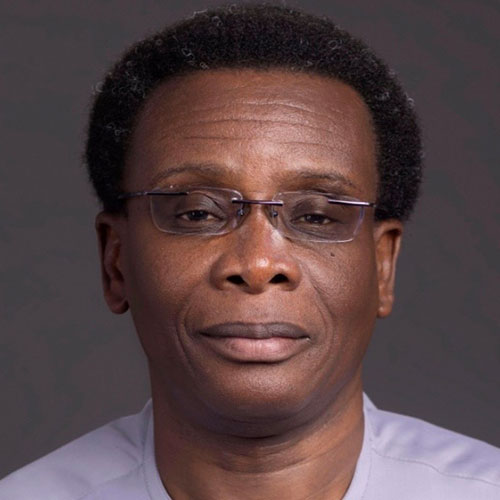 Adedapo A. Segun