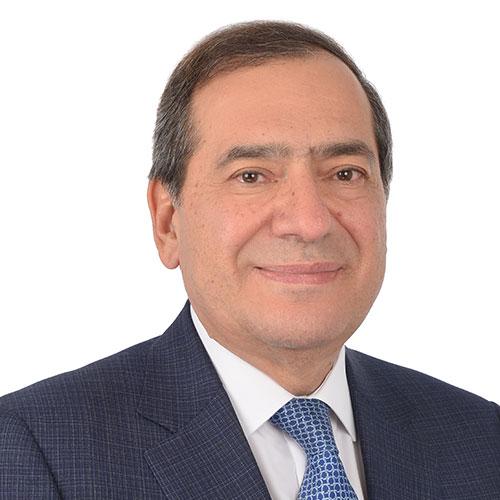 His Excellency Tarek El Molla