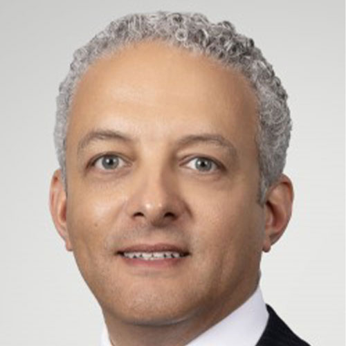 Amir Gerges