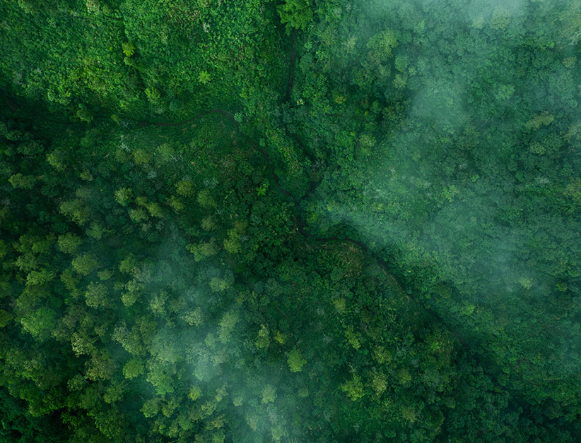 Thoughtleadershipbanner